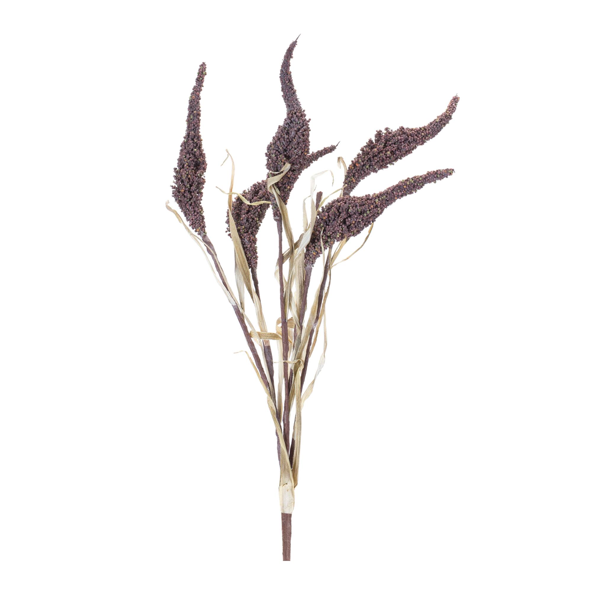 Seeded Harvest Bush, 12ct.